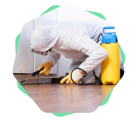 Expert Pest Control Toowoomba